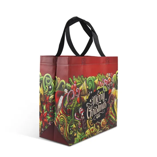 Promotional Ultrasonic Non Woven Polypropylene Bag