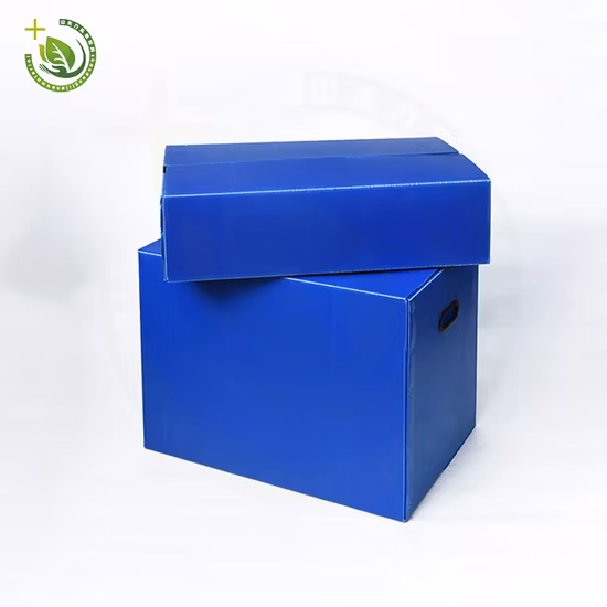 8092 Durable PP Plastic Storage Box with Strong Buckle & Convenient Lid Multi