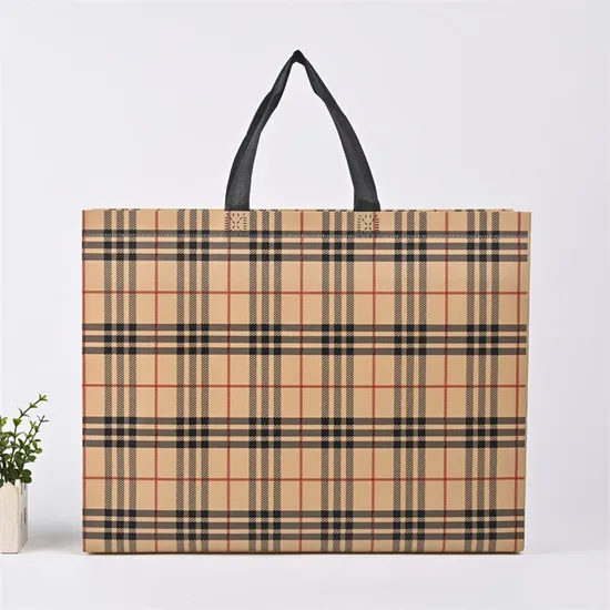 Customize Colorful Portable Nonwoven Laminated Printing Eco